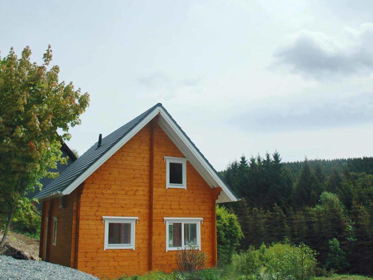 Wooden House With Sauna In K Stelberg Medebach Dış mekan fotoğraf
